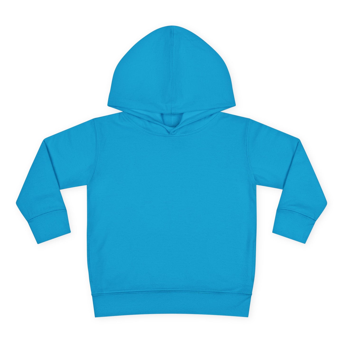 Toddler Pullover Fleece Hoodie Blossom the Botanist