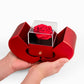 Rose & Love Knot Necklace Gift Set
