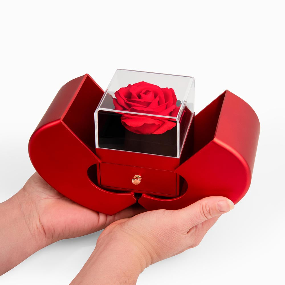 Rose & Love Knot Necklace Gift Set