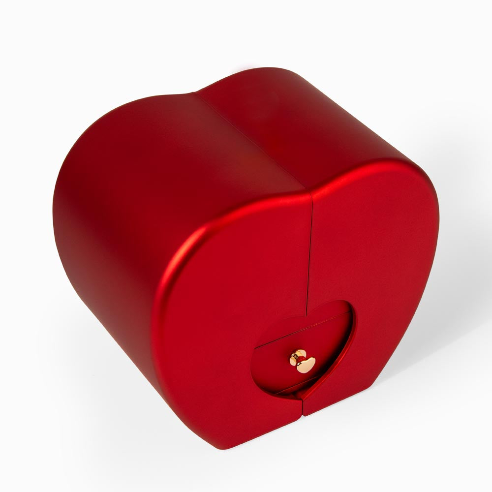 Forever Love Necklace with Red Heart Rose Box ❤️🌹